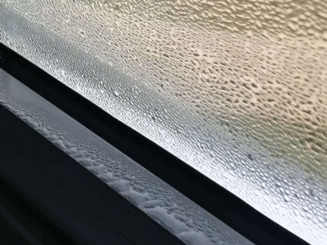 Winter Window Condensation & Mold?